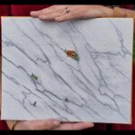 "Matière habitée - Blanc veiné" peinture acrylique