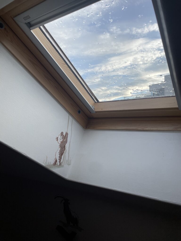 Peinture murale décor chambre enfant fresque