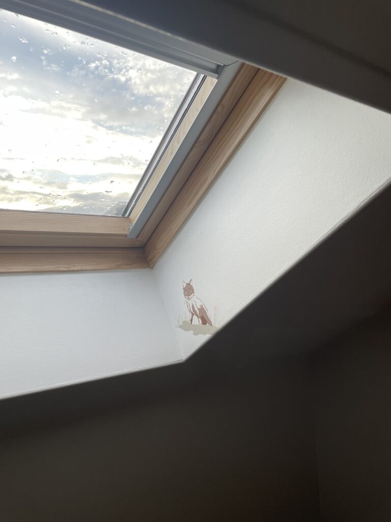 Peinture murale décor chambre enfant fresque